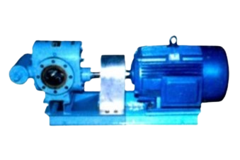 Manufacturer of Rotary Gear Pump Mumba