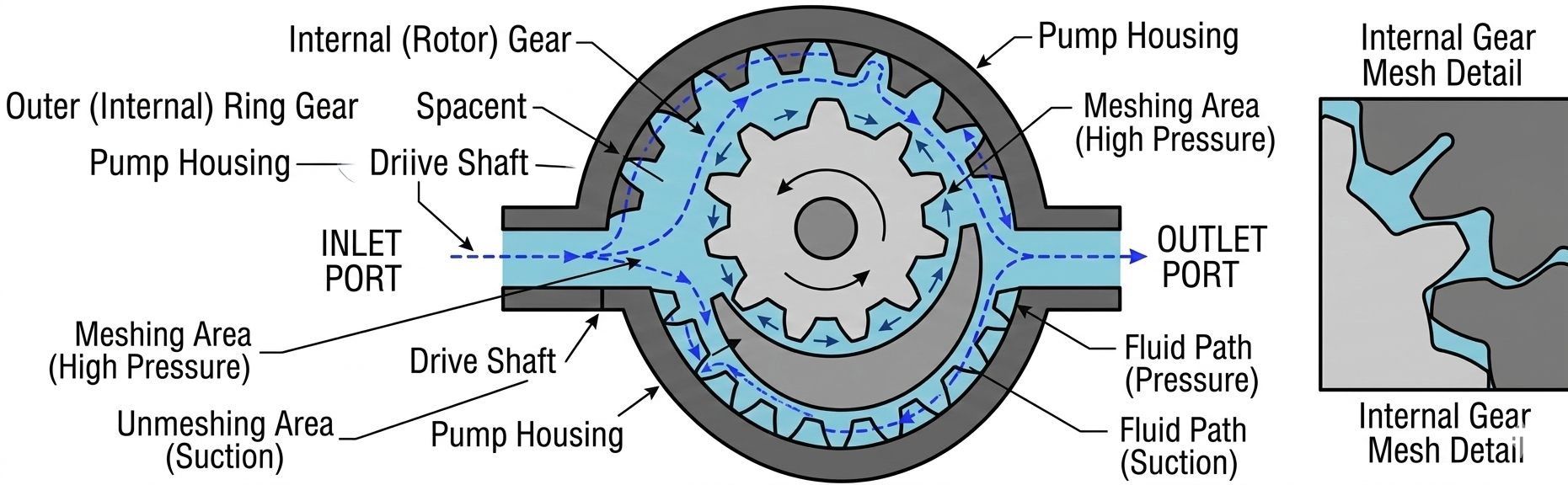 Internal Gear Pump Anatomy - Rotor, Idler, and Crescent Seal
