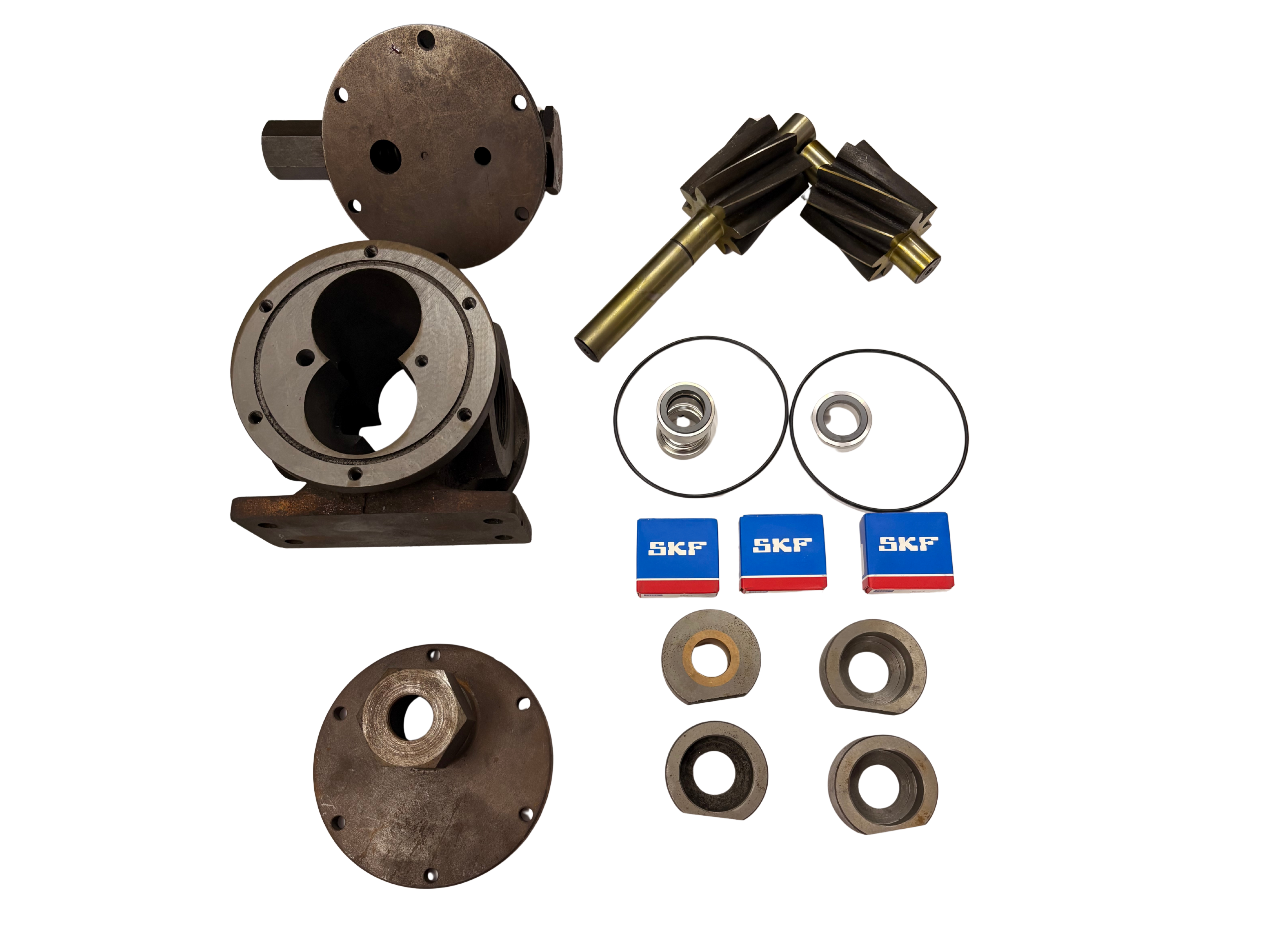 Unique Pump Systems Rotary Gear Pump - Model 6