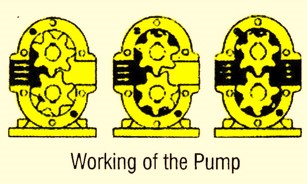 Engineer for selection Gaer Pumps